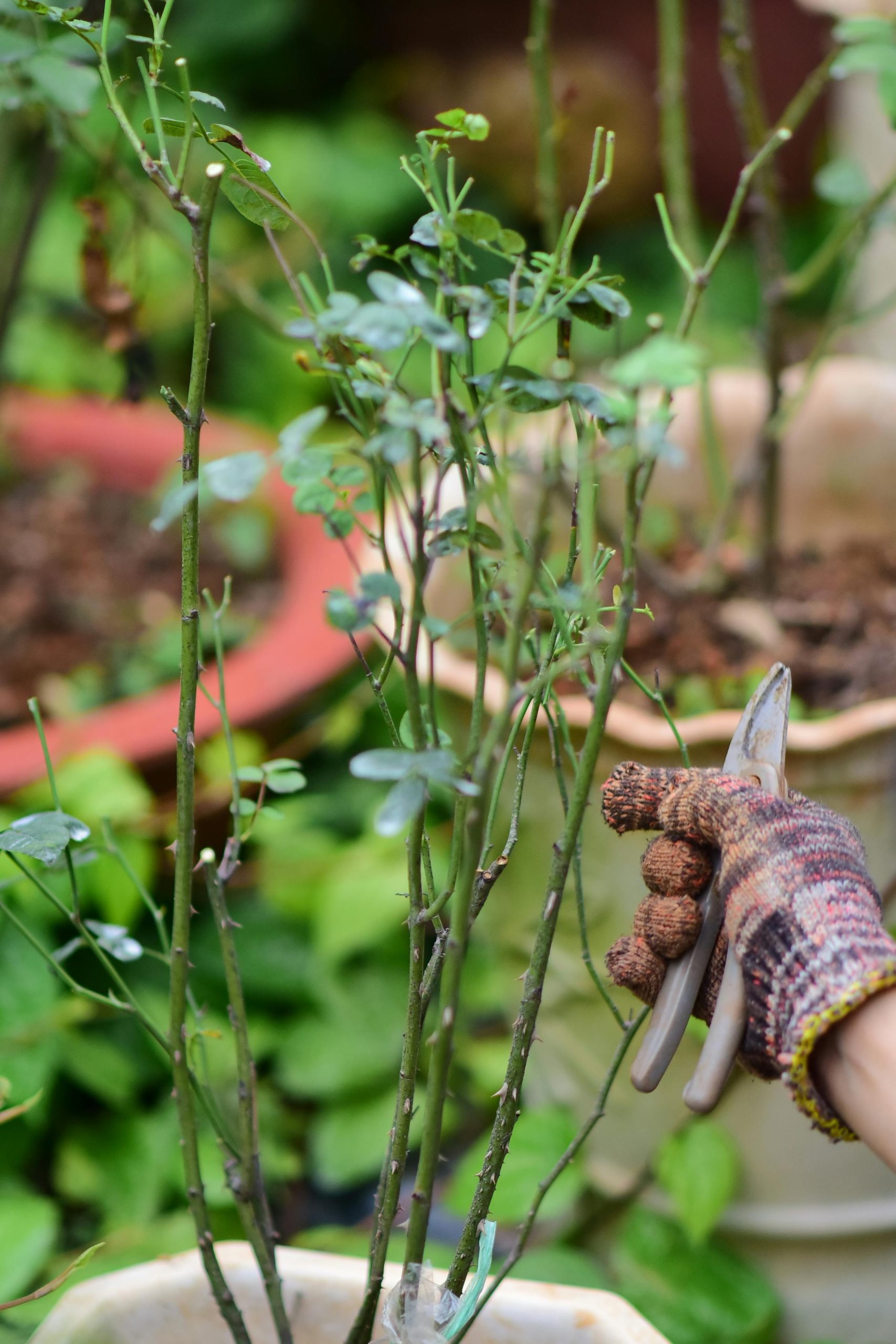 Conseils de sécurité pour échafaudage de jardin