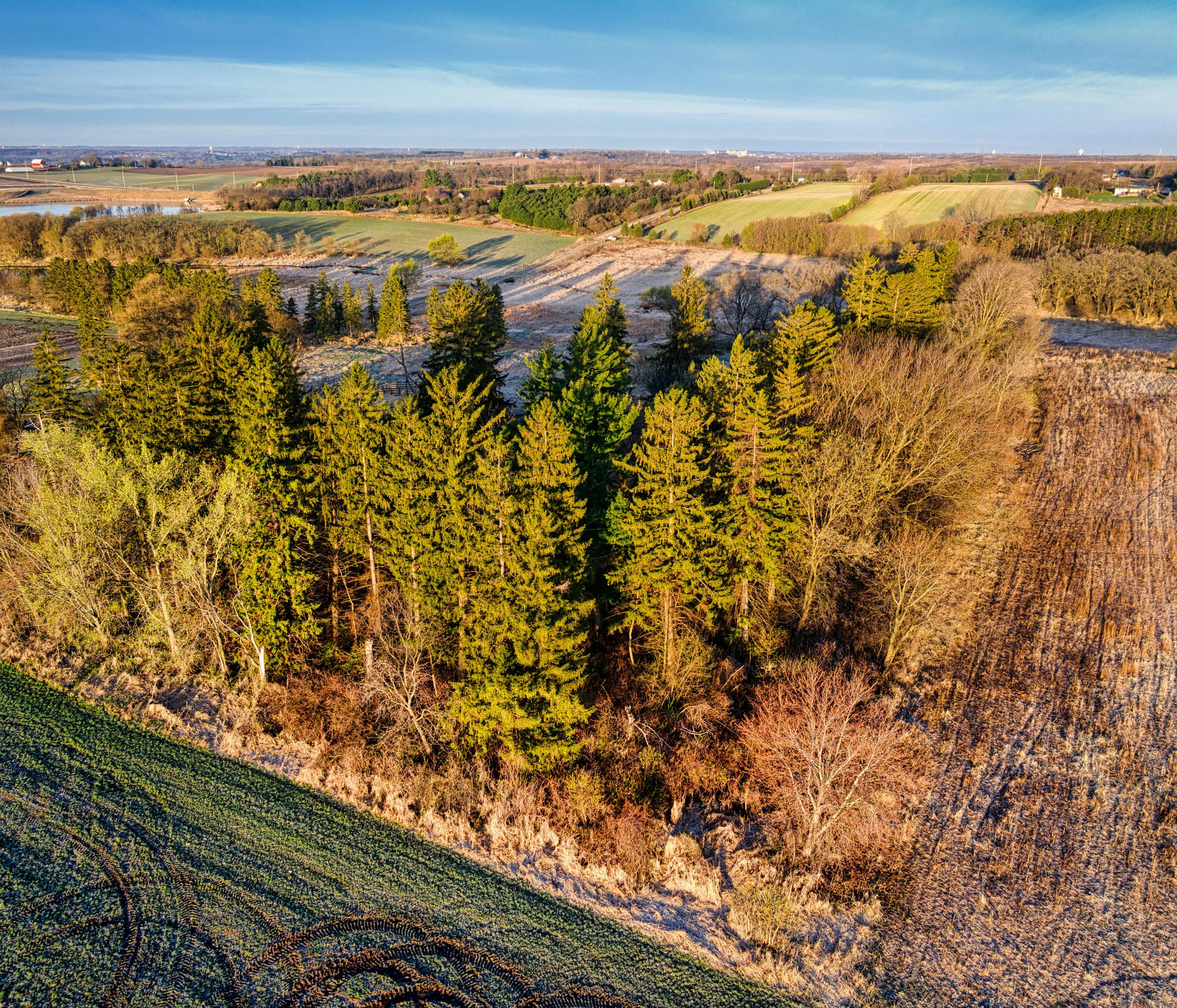 Terrain arboré prix réel