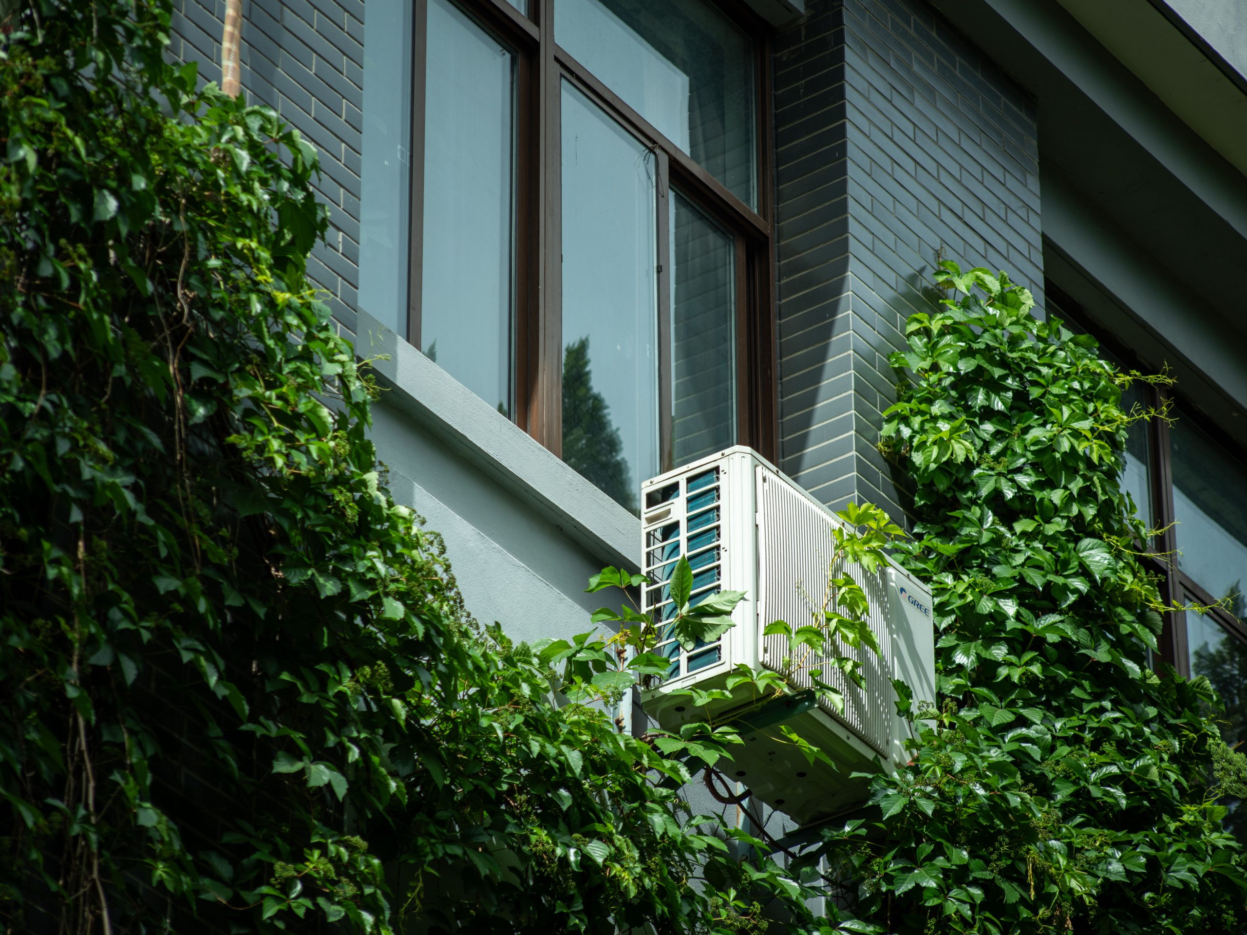 Climatiseur sur mur végétalisé de bâtiment