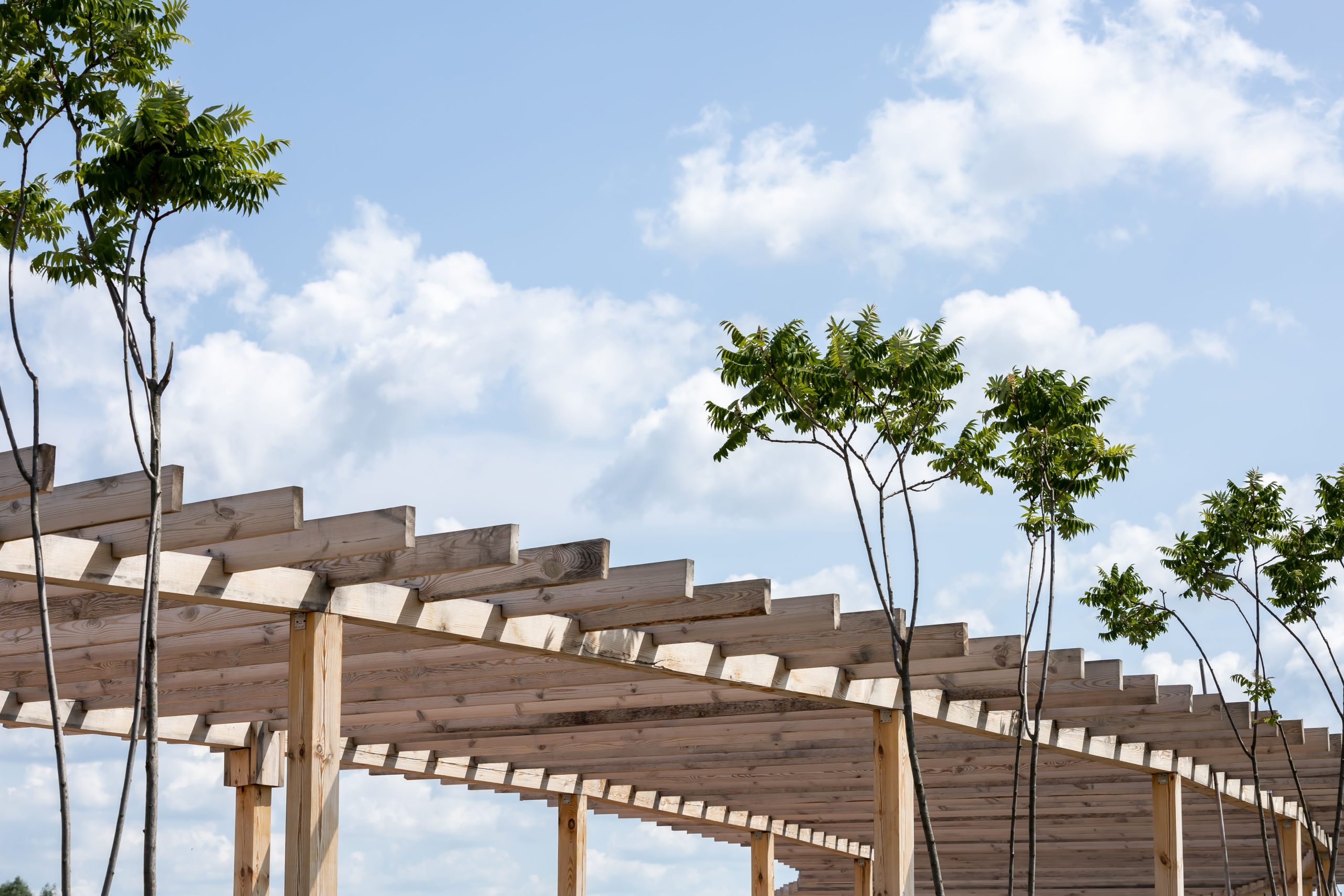Pergola en bois sous un ciel bleu et arbres